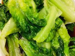 -饭怕鱼·黄焖鲟龙鱼(湖大店)