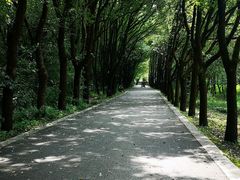 -同里国家湿地公园