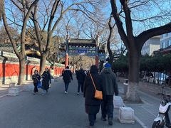 -北京国子监胡同