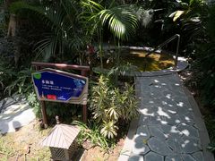 -碧桂园润杨溪谷温泉酒店