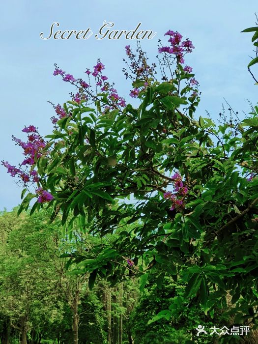 湖光岩风景区图片