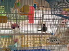 -宠爱我(南山店)