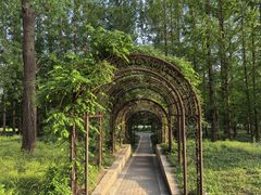 -国家植物园南园