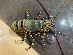 -海盗餐厅