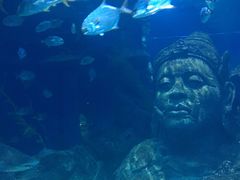 -暹罗海洋世界