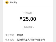-WHEN PIGS FLY当猪飞