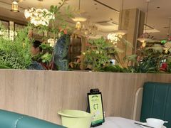 -椿记烧鹅(叠彩店)