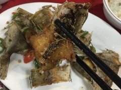 -蛇口康乐快餐鱼仔档(翠苑小区店)
