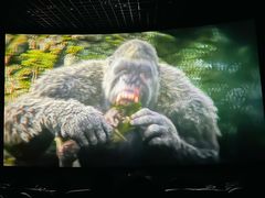 -万达影城(世茂海峡广场IMAX店)