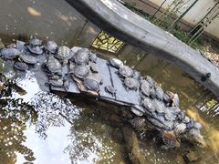 -红螺寺
