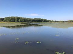 -御道口草原森林风景区