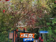 -豆舞咖啡(民乐路店)