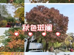 -南翠屏公园