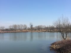 -长兴太湖图影湿地文化园