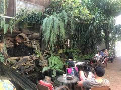 -Fern Forest Cafe