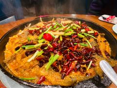 -老板恋上鱼(振华商厦店)