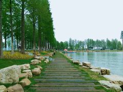 -青山公园萤火虫科普展