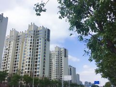 -南翔镇银翔湖公园