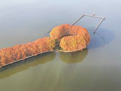 -东湖生态旅游风景区