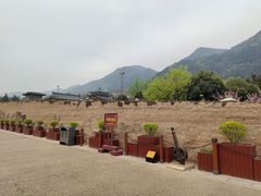 -华清宫景区