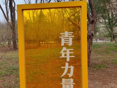 -玲珑塔公园