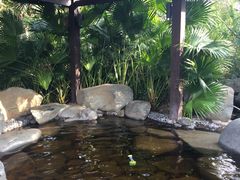 -台山颐和温泉城