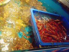 -拉完海鲜大排档(温岭店)