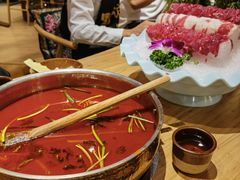-黔诚多彩火锅(甲秀楼店)