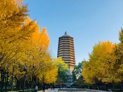 -玲珑塔公园