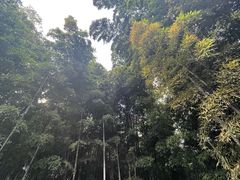 -树山生态村