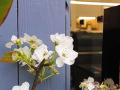 店内布置-麻雀咖啡SPARROW COFFEE(十全街店)