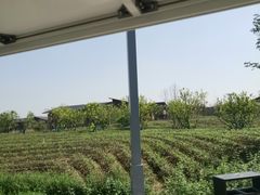 -中国天府农业博览园