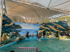 -上海野生动物园老虎餐厅