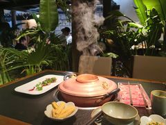 -菌自由丨野生菌火锅特色庭院餐厅(丽江古城店)