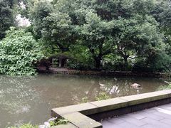-成都市活水公园