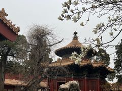 -故宫博物院(故宫)