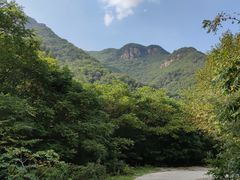 -龙道沟景区