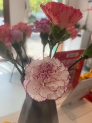 点击看大图 -Dr.林醫生产后修复·配方产康店(南京大厂店)