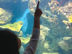 -福州罗源湾海洋世界旅游区