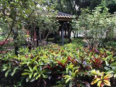 -顺峰山公园