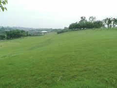 -川南大草原