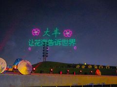 -荷兰花海