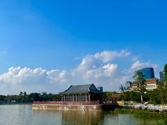-顺峰山公园