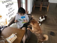 -汪说喵讲宠物乐园宠物酒店(红星美凯龙店)