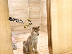 -Double Rui宠物酒店