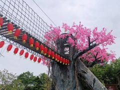 -天适樱花悠乐园