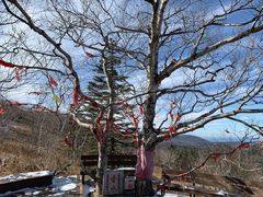 -凤凰山国家森林公园