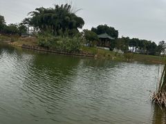 -王借岗森林公园