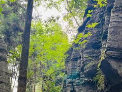 -梭布垭石林景区
