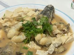 -煲来饱去冷水鱼